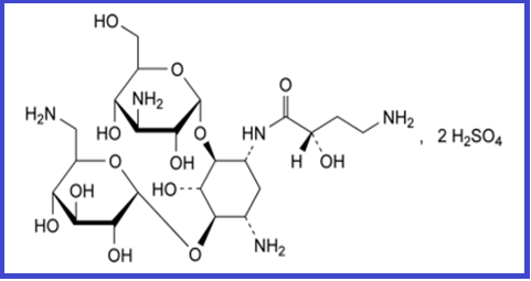 AMIKACIN