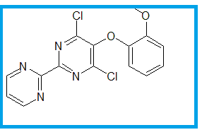 BOSENTAN USP RELATED COMPOUND D