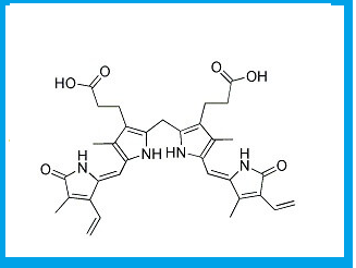 BILIRUBIN 