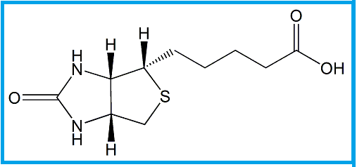 BIOTIN  