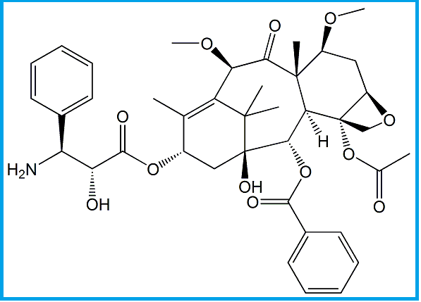 CABAZITAXEL AMINE