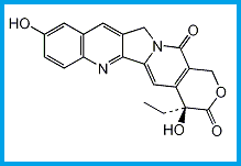 CAMPTOTHECIN 10-HYDROXY IMPURITY