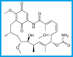  GELDANAMYCIN