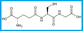 GLUTATHIONE / L-GLUTATHIONE / L-GLUTATHIONE REDUCED /GLUTATHIONE-SH