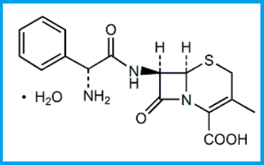 CEFALEXIN MONOHYDRATE