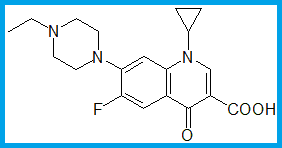 ENROFLOXACIN