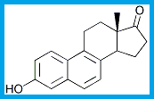 EQUILENIN