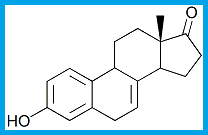 EQUILIN