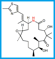 IXABEPILONE / AZA EPOTHILONE B