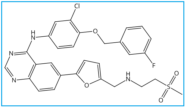 Lapatinib 