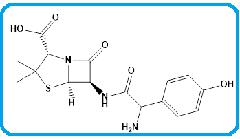 AMOXICILLIN