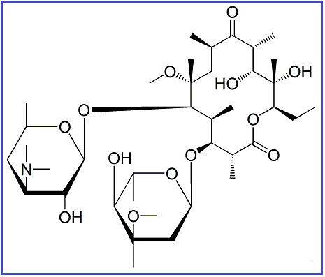 CLARITHROMYCIN 