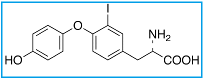 3-IODO-L-THYRONINE | 3-MONOIODOTHYRONINE 