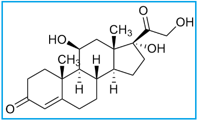 HYDROCORTISONE