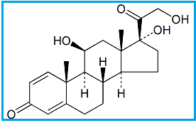 Prednisolone