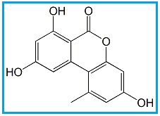 Alternariol