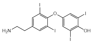 THYROXAMINE