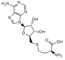 S-Adenosyl-L-Homocysteine