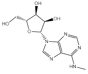 N6-Methyladenosine