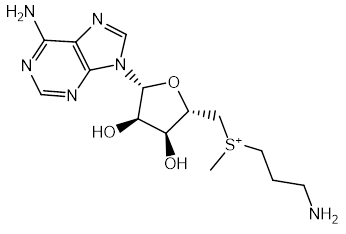 S-Adenosylmethioninamine