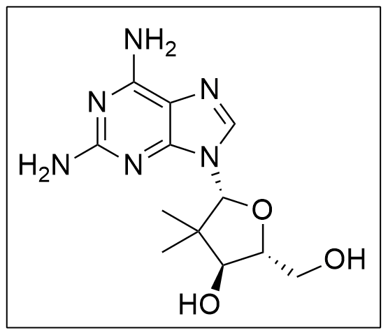 2-Amino-2′-deoxy-2′,2′-dimethyl-adenosine