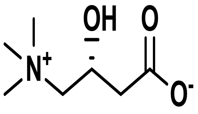 Levocarnitine / L-Carnitine