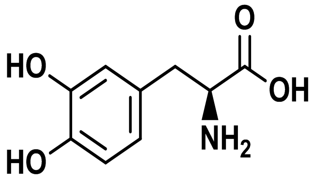 Levodopa / L-Dopa